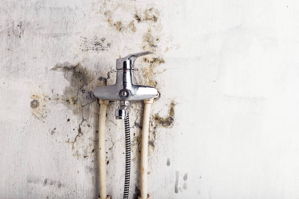 Best Water Damage Restoration  in Indian Mountain Lake, PA