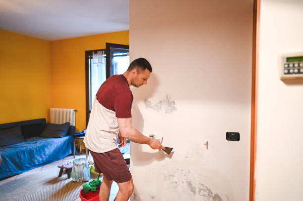 Best Home Mold Removal  in Indian Mountain Lake, PA