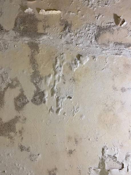 Water Damage Restoration in Indian Mountain Lake, PA